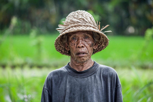 aging_farmer